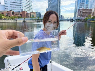 マリンレジャー　マリンライセンスロイヤル東京　ロイヤル感謝祭　ボートフィッシング　船釣り　東京湾ハゼ　ハゼ　船舶免許