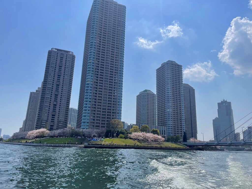 東京　花見　マリンライセンスロイヤル　東京お花見　操船セミナー