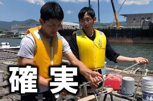 マリンライセンスロイヤル 船舶免許 特徴 確実